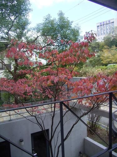 Outdoor Pictures 4