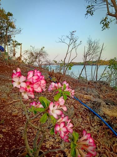 Outdoor Pictures 15