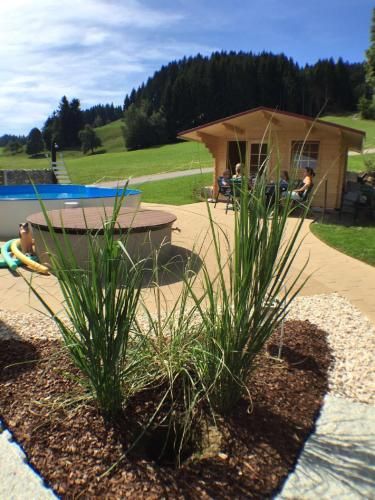 Outdoor Pictures 7