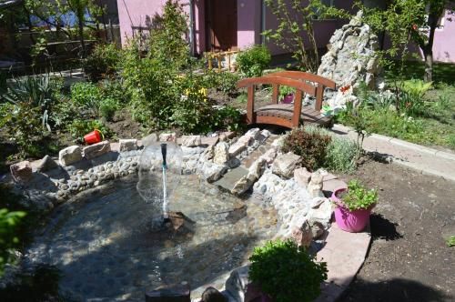 Outdoor Pictures 6