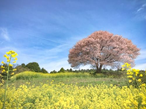 Outdoor Pictures 23