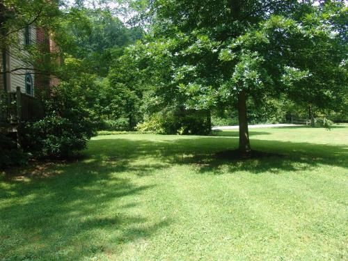 Outdoor Pictures 3
