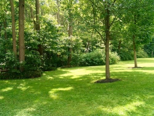 Outdoor Pictures 5