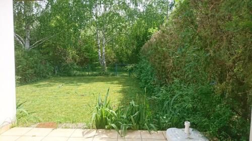 Outdoor Pictures 15