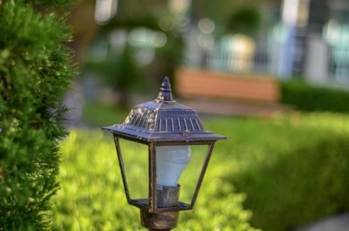 Outdoor Pictures 16