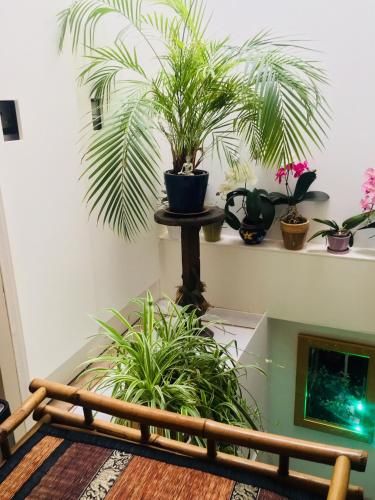 Amsterdam B&B Barangay