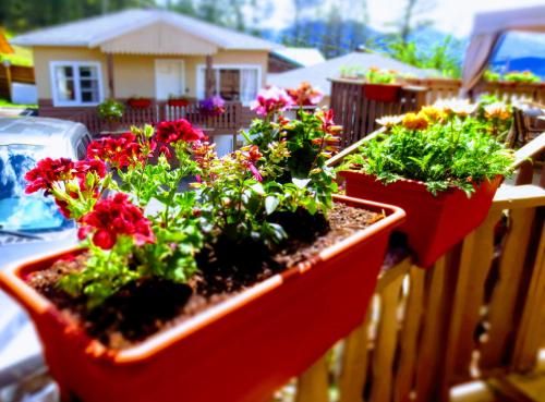Outdoor Pictures 20