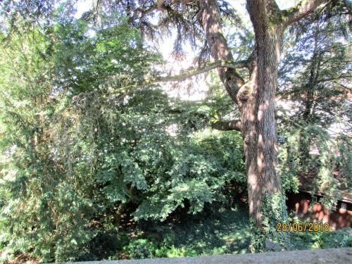 Outdoor Pictures 21