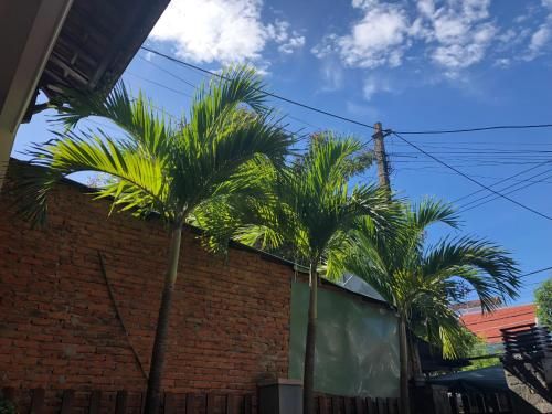 Outdoor Pictures 21