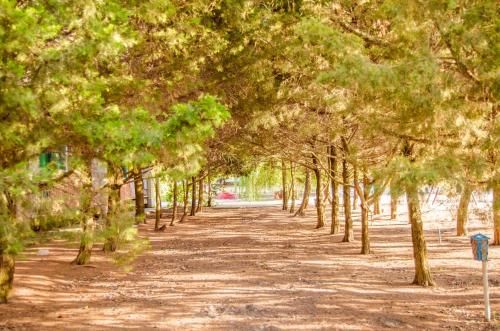 Outdoor Pictures 21
