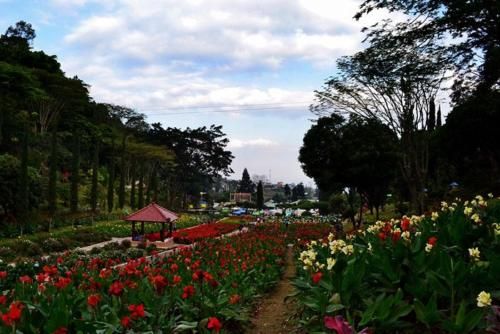 Outdoor Pictures 19