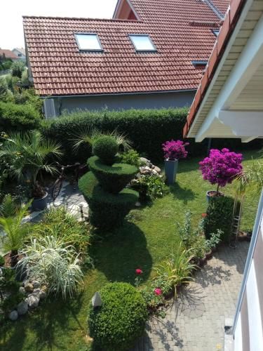 Outdoor Pictures 11