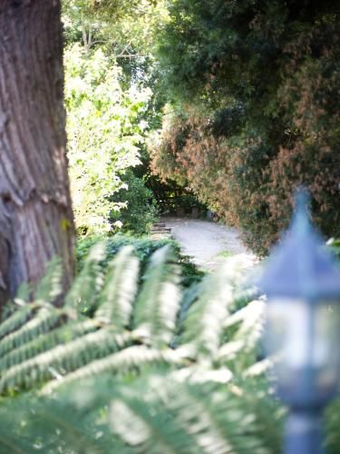 Outdoor Pictures 6