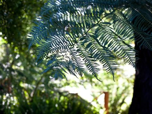 Outdoor Pictures 9