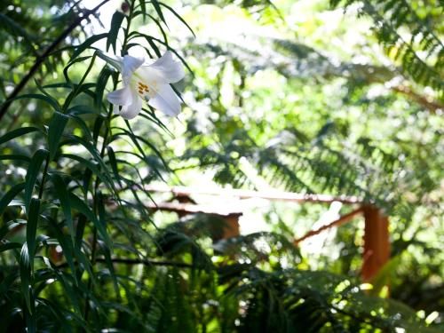 Outdoor Pictures 10