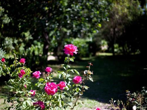 Outdoor Pictures 15