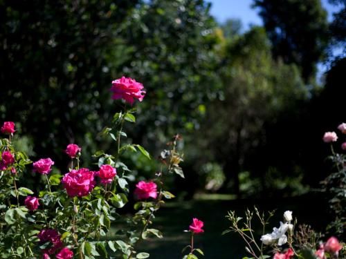 Outdoor Pictures 18