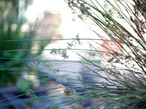 Outdoor Pictures 22
