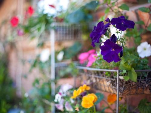 Outdoor Pictures 23
