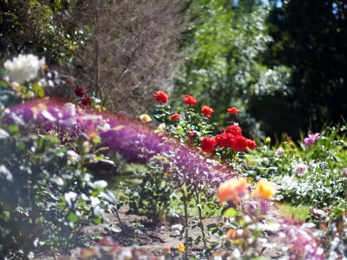 Outdoor Pictures 24