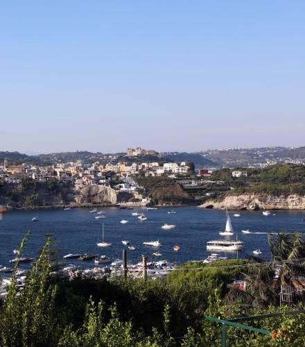 Pharus miseni B&B