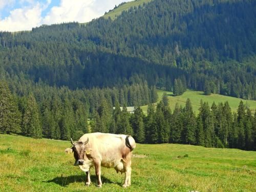 Outdoor Pictures 23