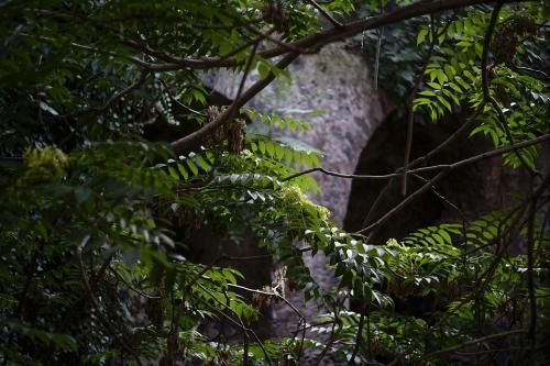 Outdoor Pictures 23