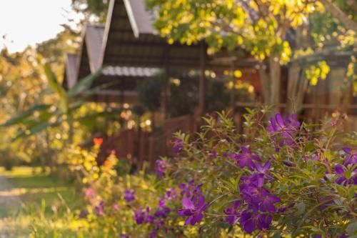 Outdoor Pictures 15