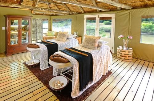Shamwari Bayethe