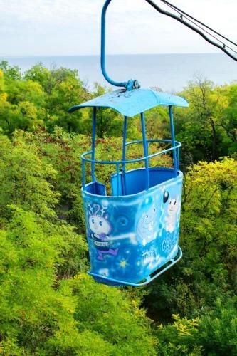 Outdoor Pictures 20