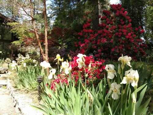 Outdoor Pictures 20