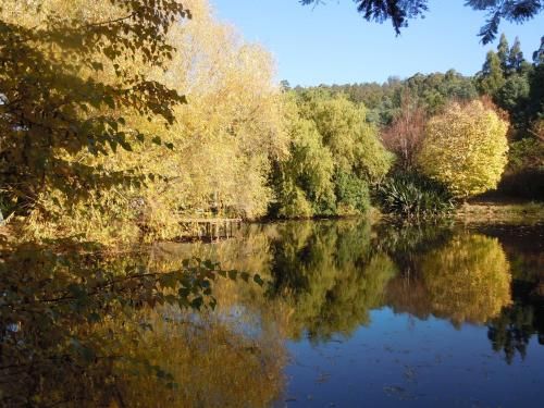 Outdoor Pictures 4