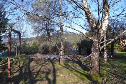 Outdoor Pictures 15