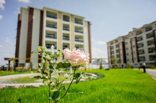 Outdoor Pictures 24