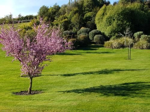 Outdoor Pictures 12
