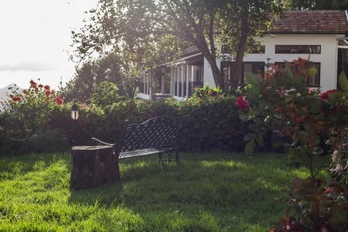 Outdoor Pictures 8