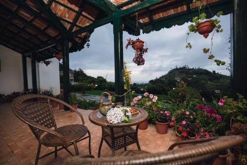 Outdoor Pictures 12