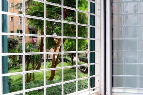 Outdoor Pictures 21