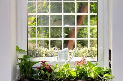 Outdoor Pictures 19
