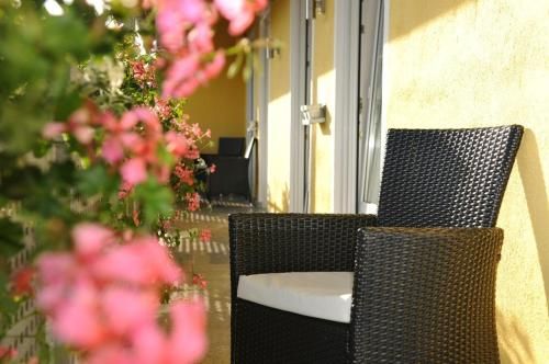 Outdoor Pictures 5