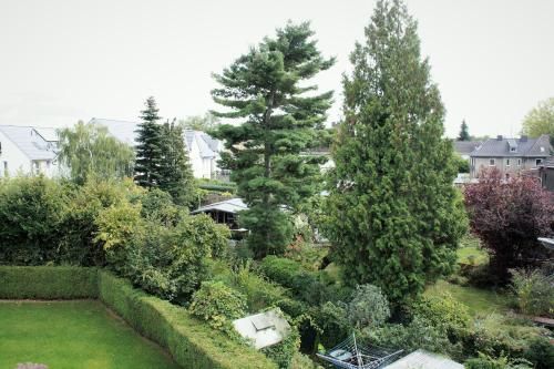 Outdoor Pictures 24