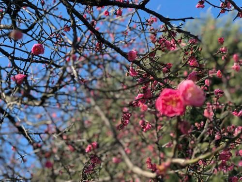 Outdoor Pictures 22