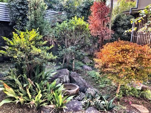 Outdoor Pictures 7