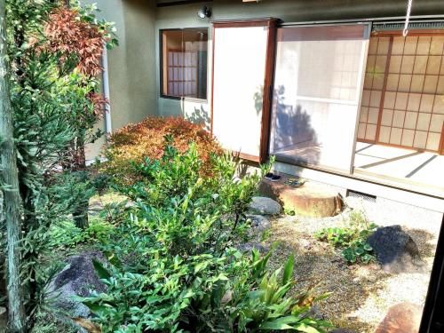 Outdoor Pictures 10