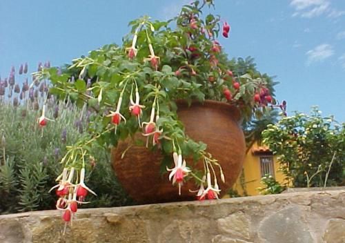 Outdoor Pictures 24