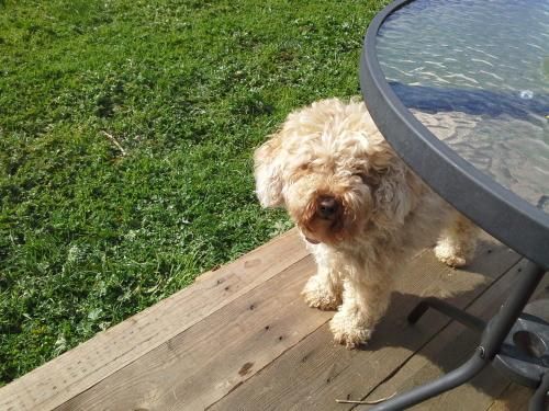 Outdoor Pictures 18