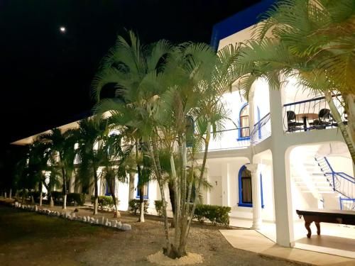 Hotel Las Palmas de OSA
