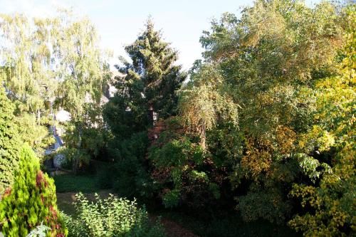 Outdoor Pictures 20