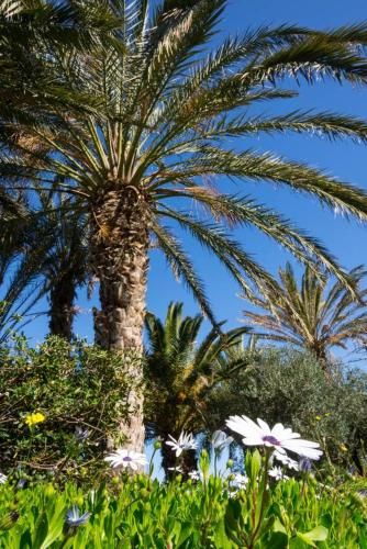 Outdoor Pictures 22