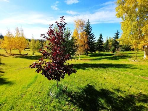 Outdoor Pictures 16